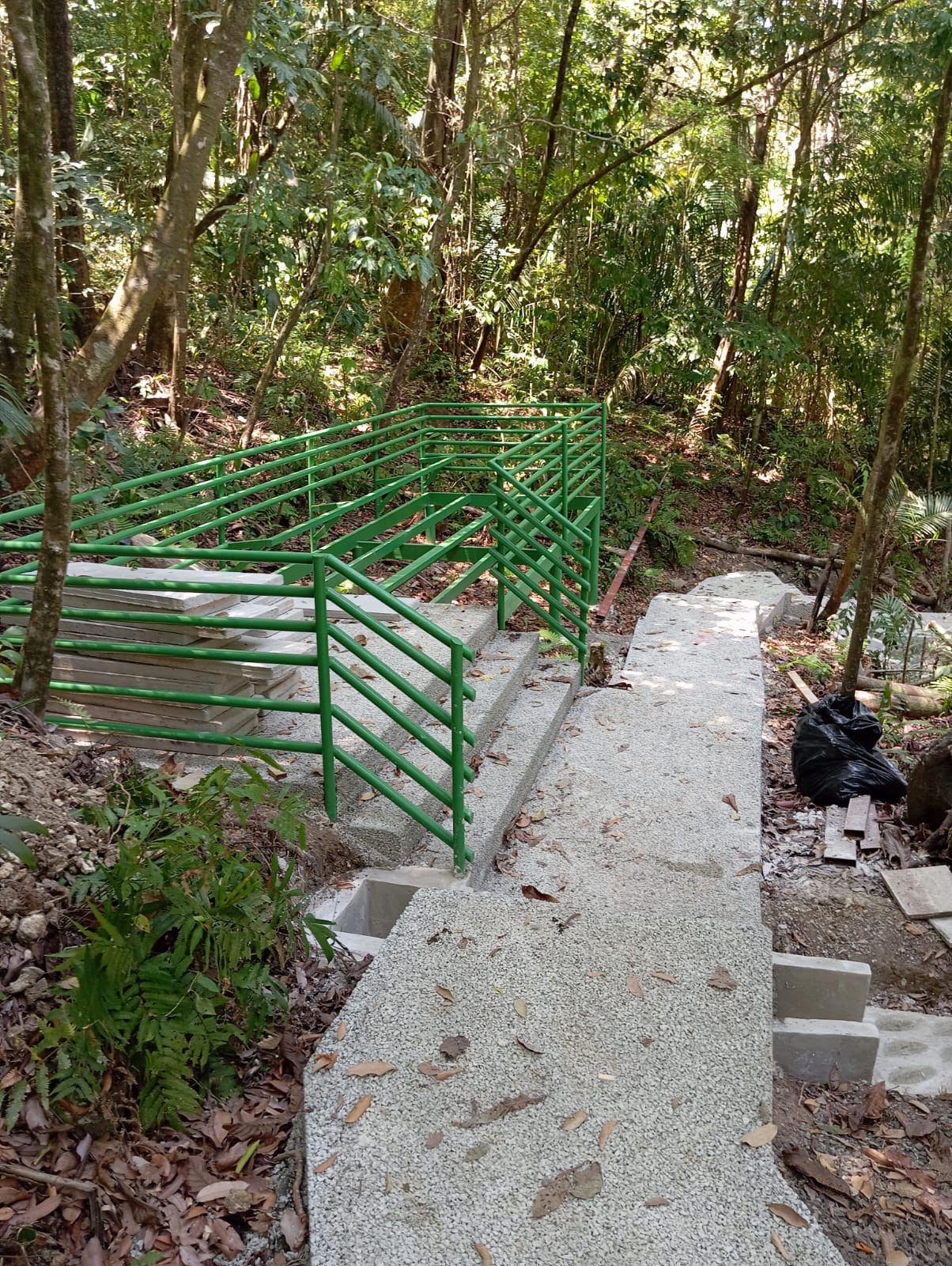 Parque forestal — Sendero y parque ecológico